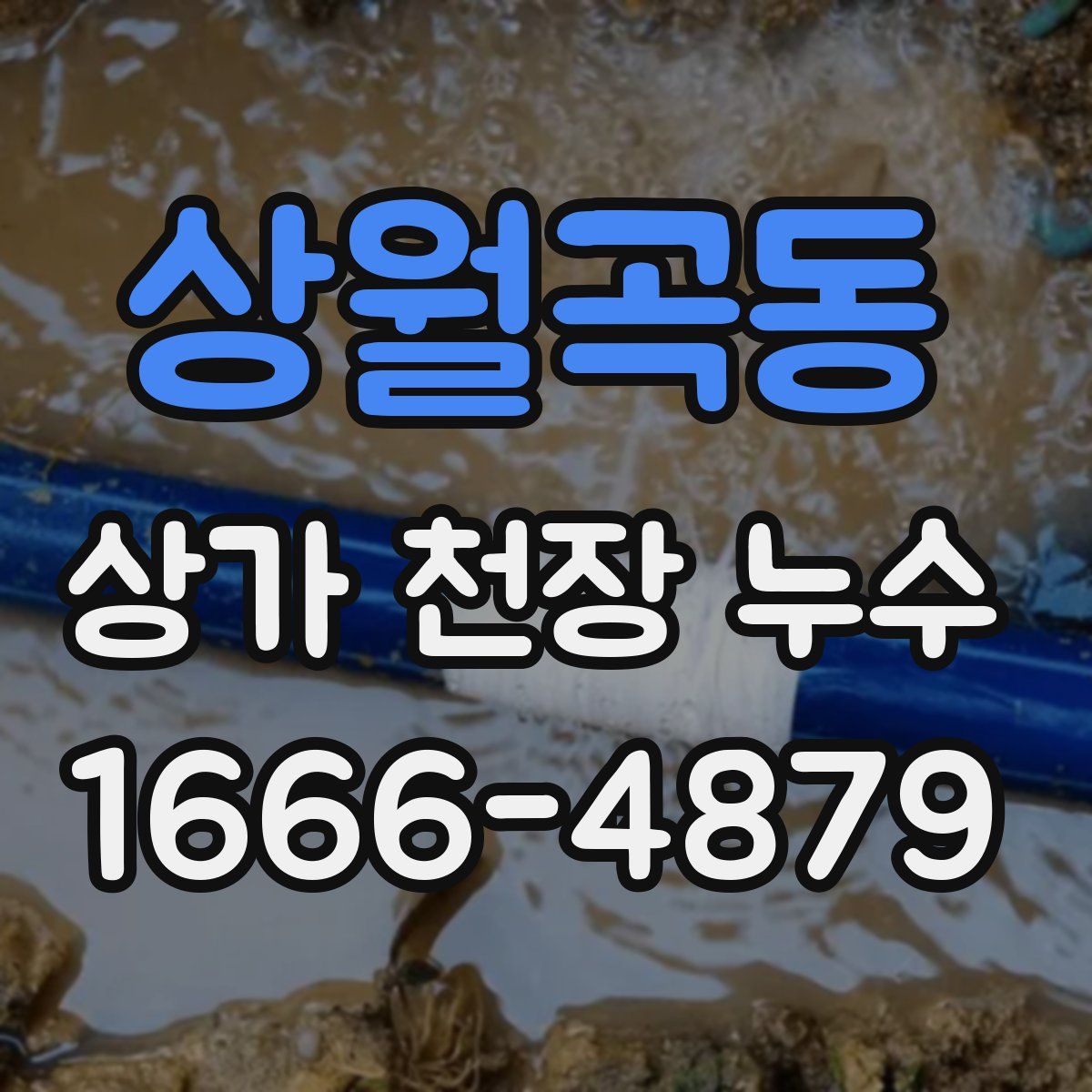 상월곡동 상가 천장 누수