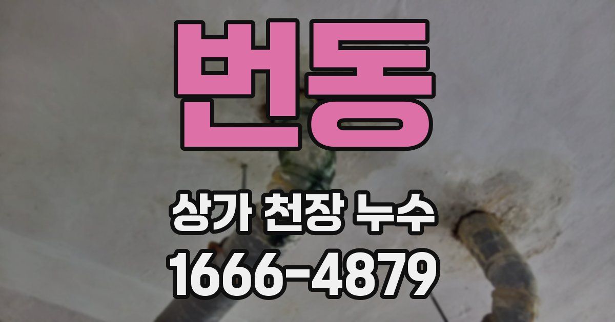 번동 상가 천장 누수