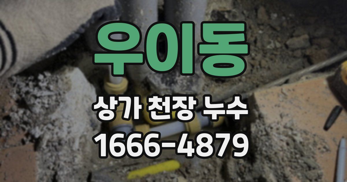 우이동 상가 천장 누수