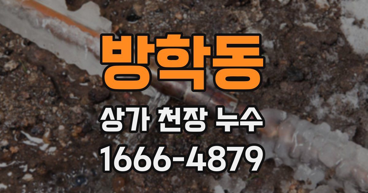 방학동 상가 천장 누수