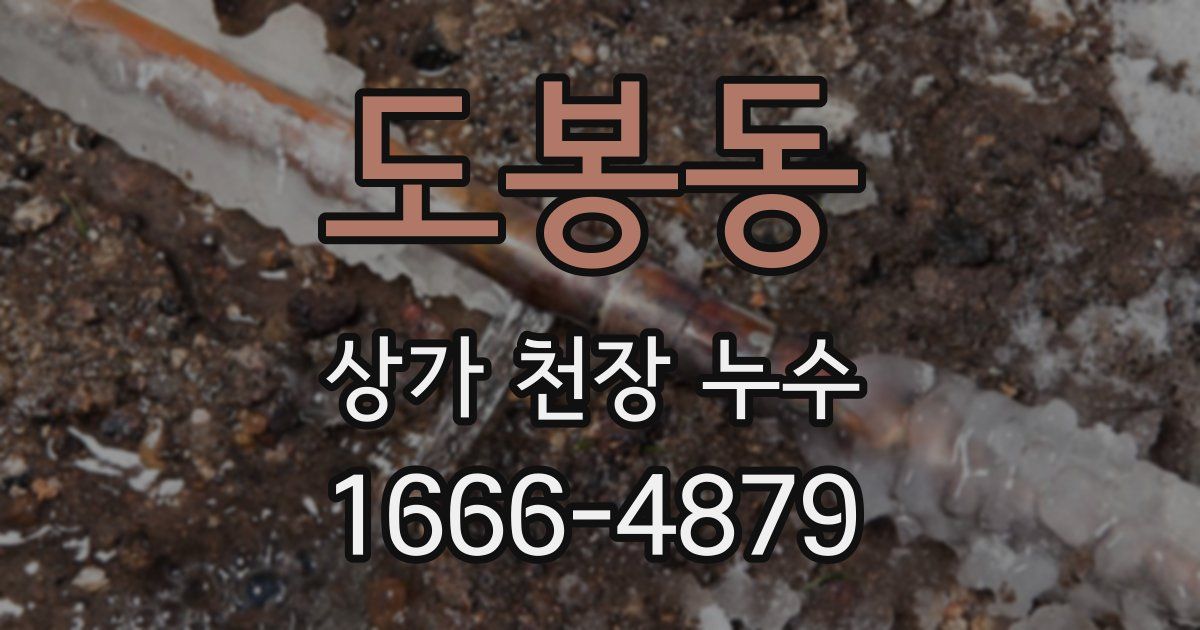 도봉동 상가 천장 누수