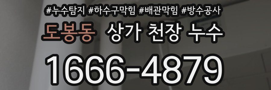 도봉동 상가 천장 누수