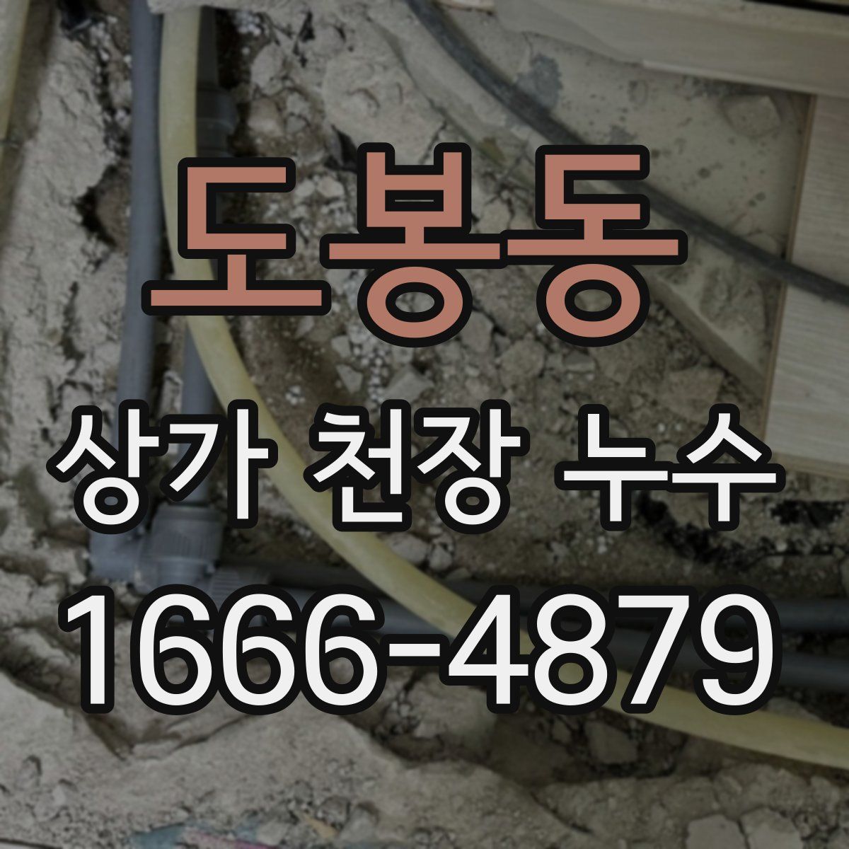도봉동 상가 천장 누수
