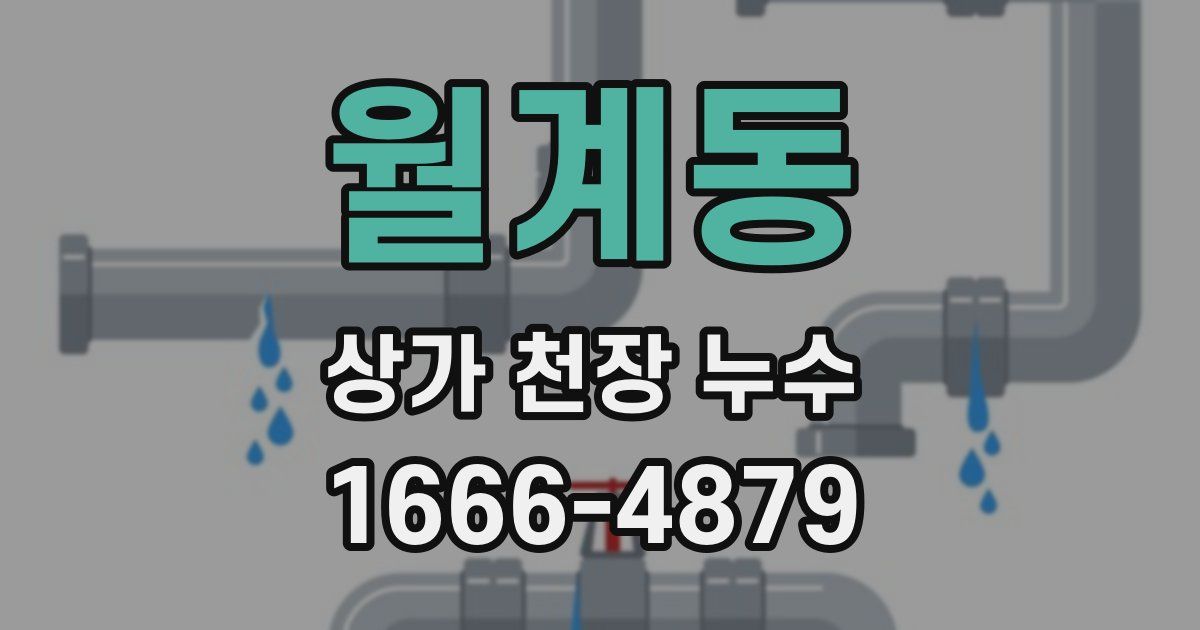 월계동 상가 천장 누수