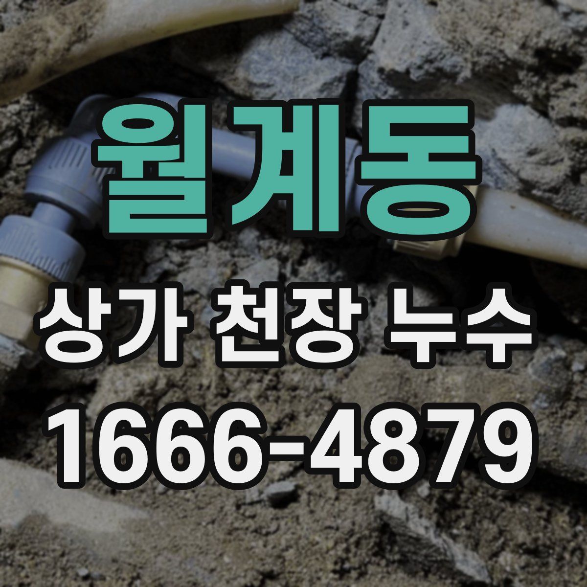 월계동 상가 천장 누수