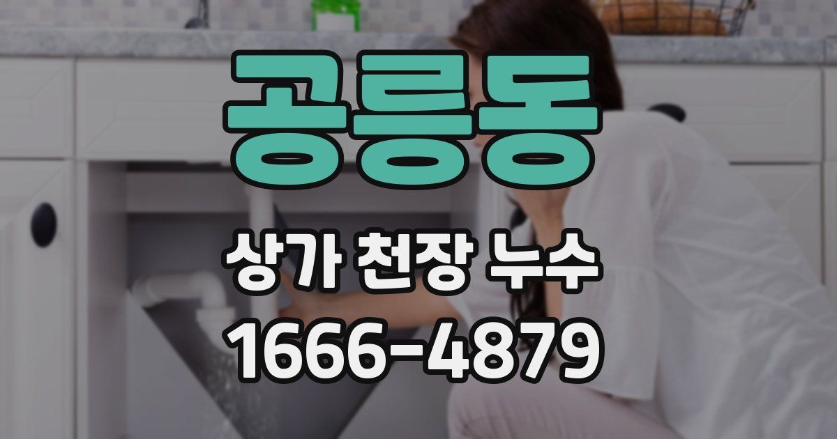 공릉동 상가 천장 누수