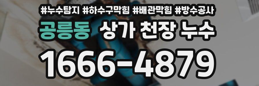 공릉동 상가 천장 누수