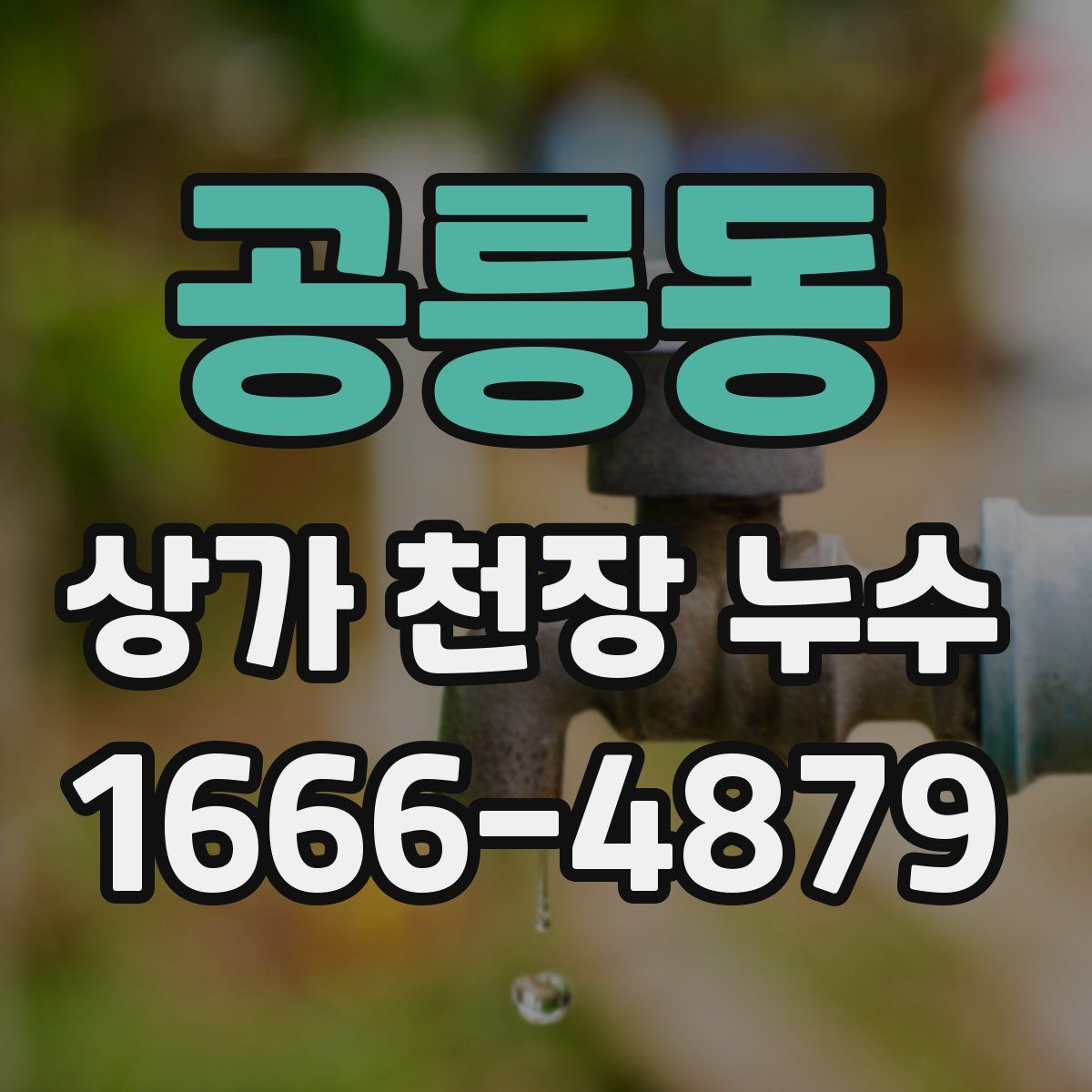 공릉동 상가 천장 누수