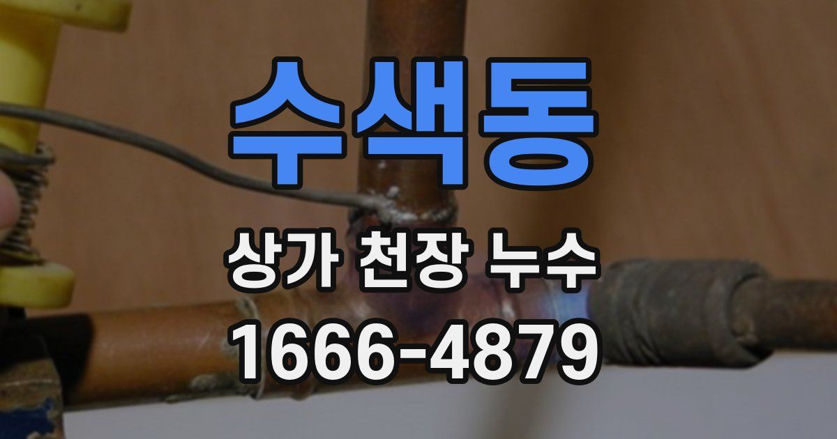 수색동 상가 천장 누수