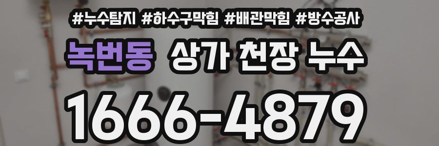 녹번동 상가 천장 누수
