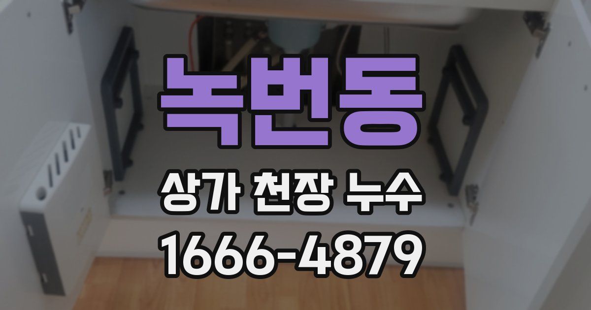 녹번동 상가 천장 누수