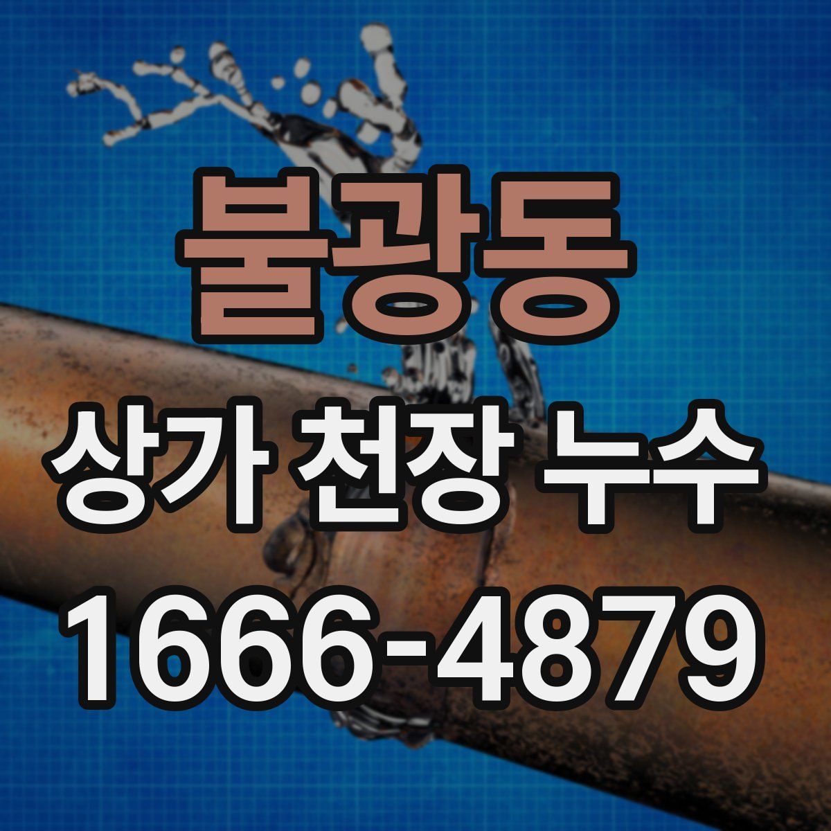 불광동 상가 천장 누수
