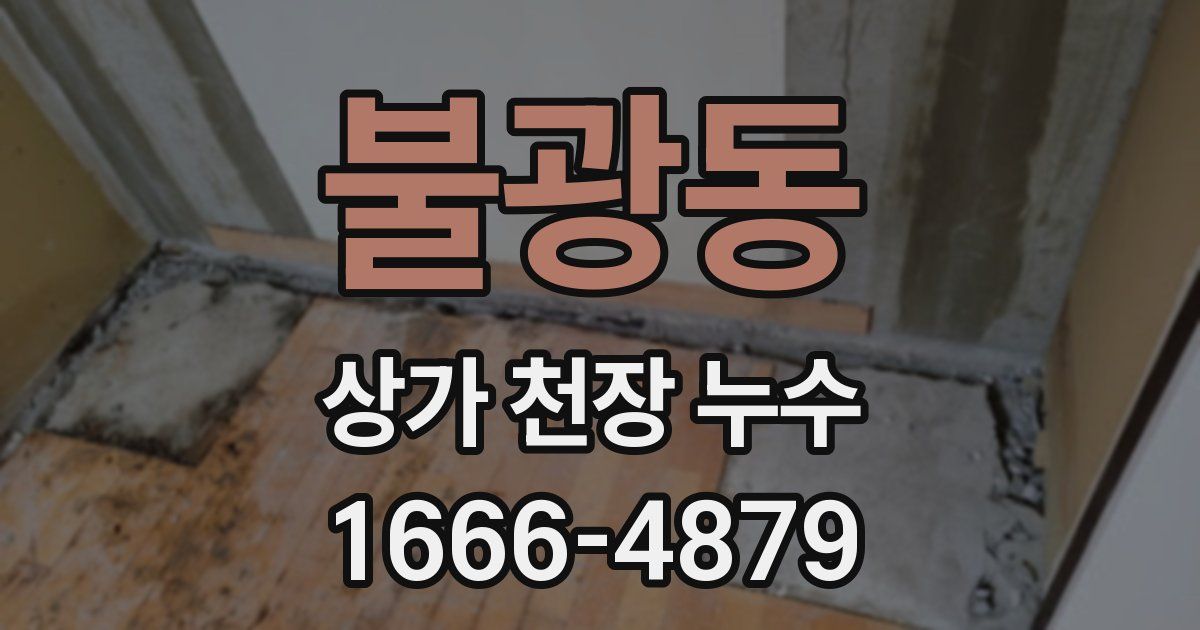 불광동 상가 천장 누수