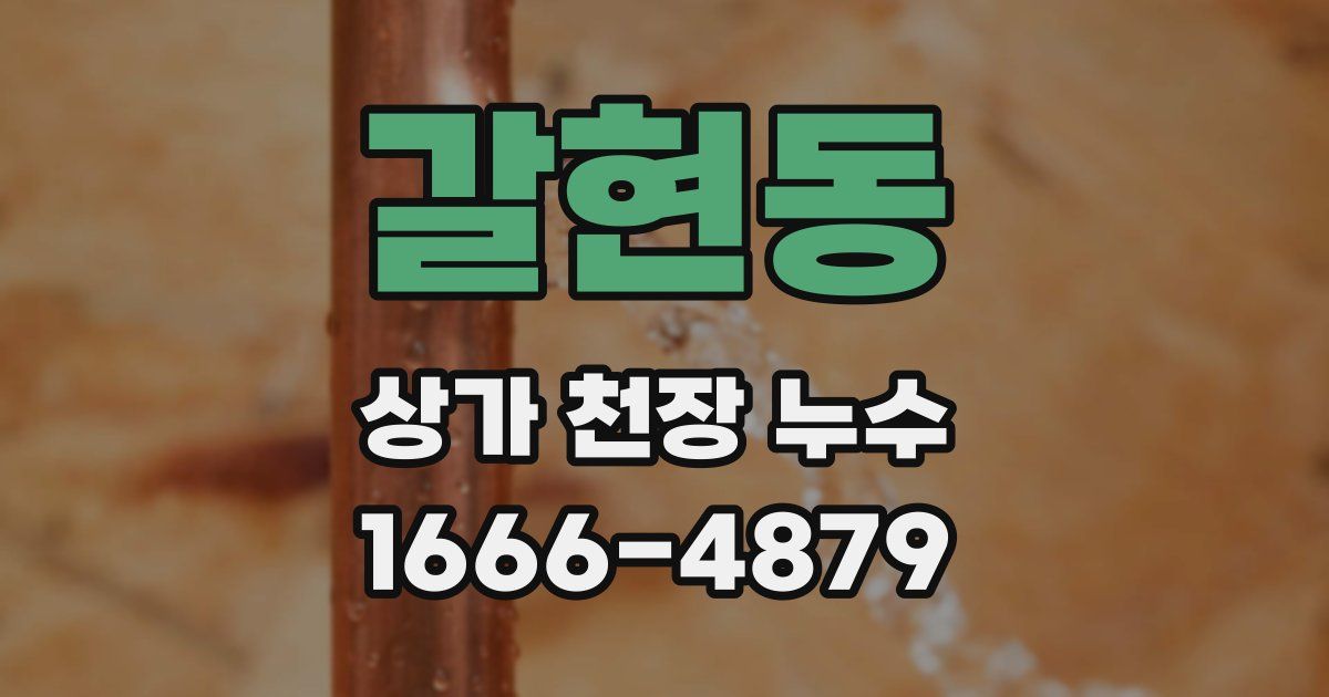 갈현동 상가 천장 누수