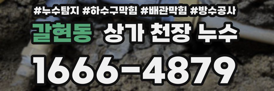 갈현동 상가 천장 누수