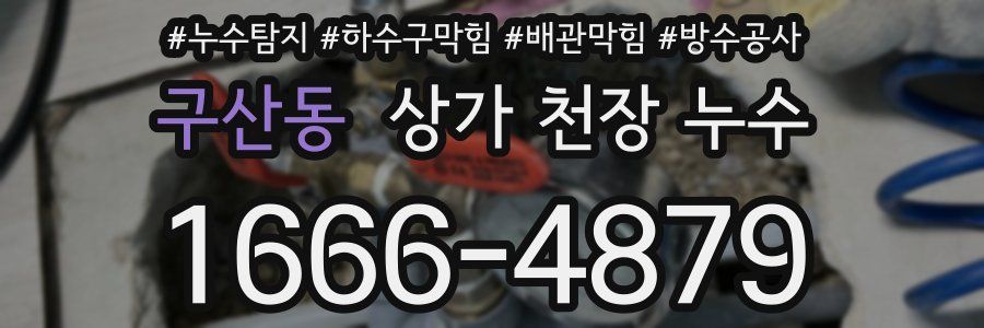 구산동 상가 천장 누수