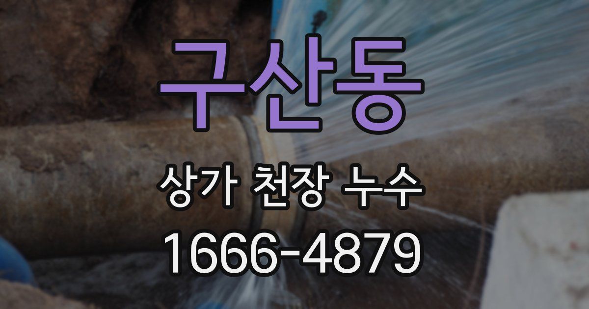 구산동 상가 천장 누수