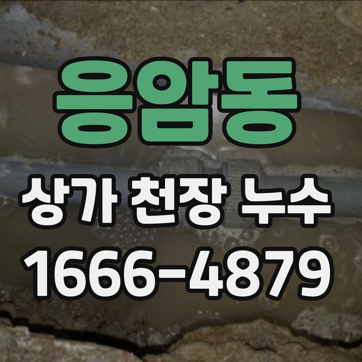 응암동 상가 천장 누수