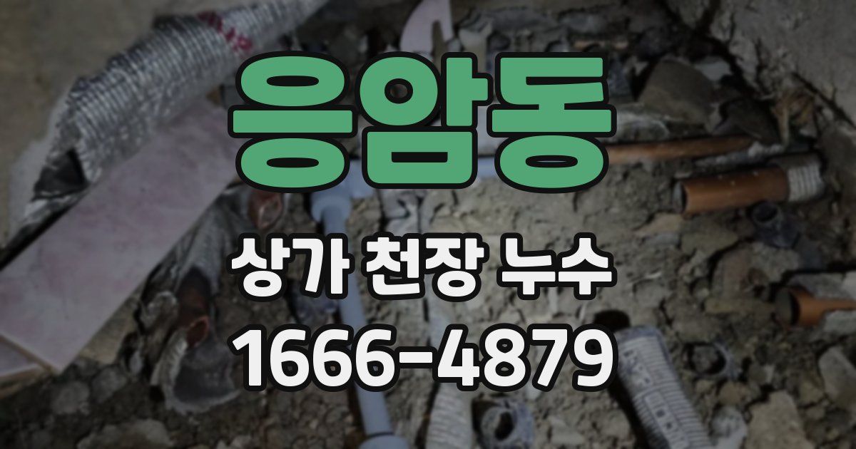 응암동 상가 천장 누수