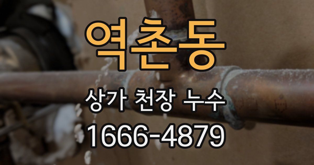 역촌동 상가 천장 누수