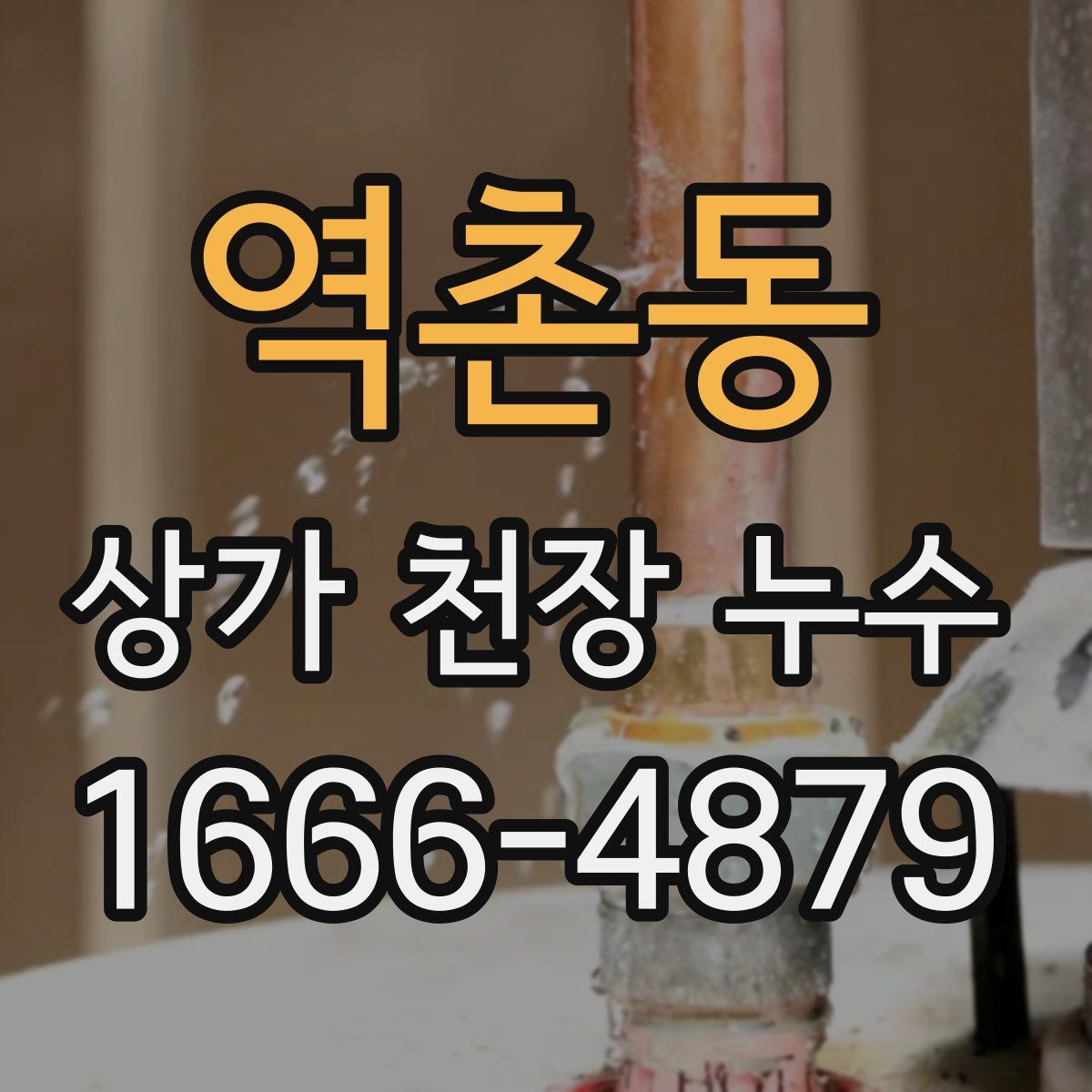 역촌동 상가 천장 누수