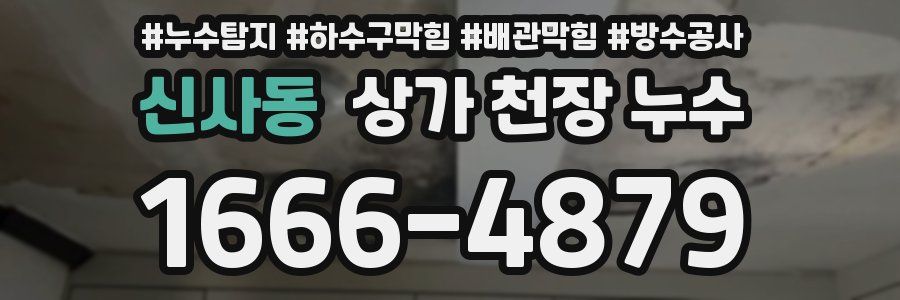 신사동 상가 천장 누수