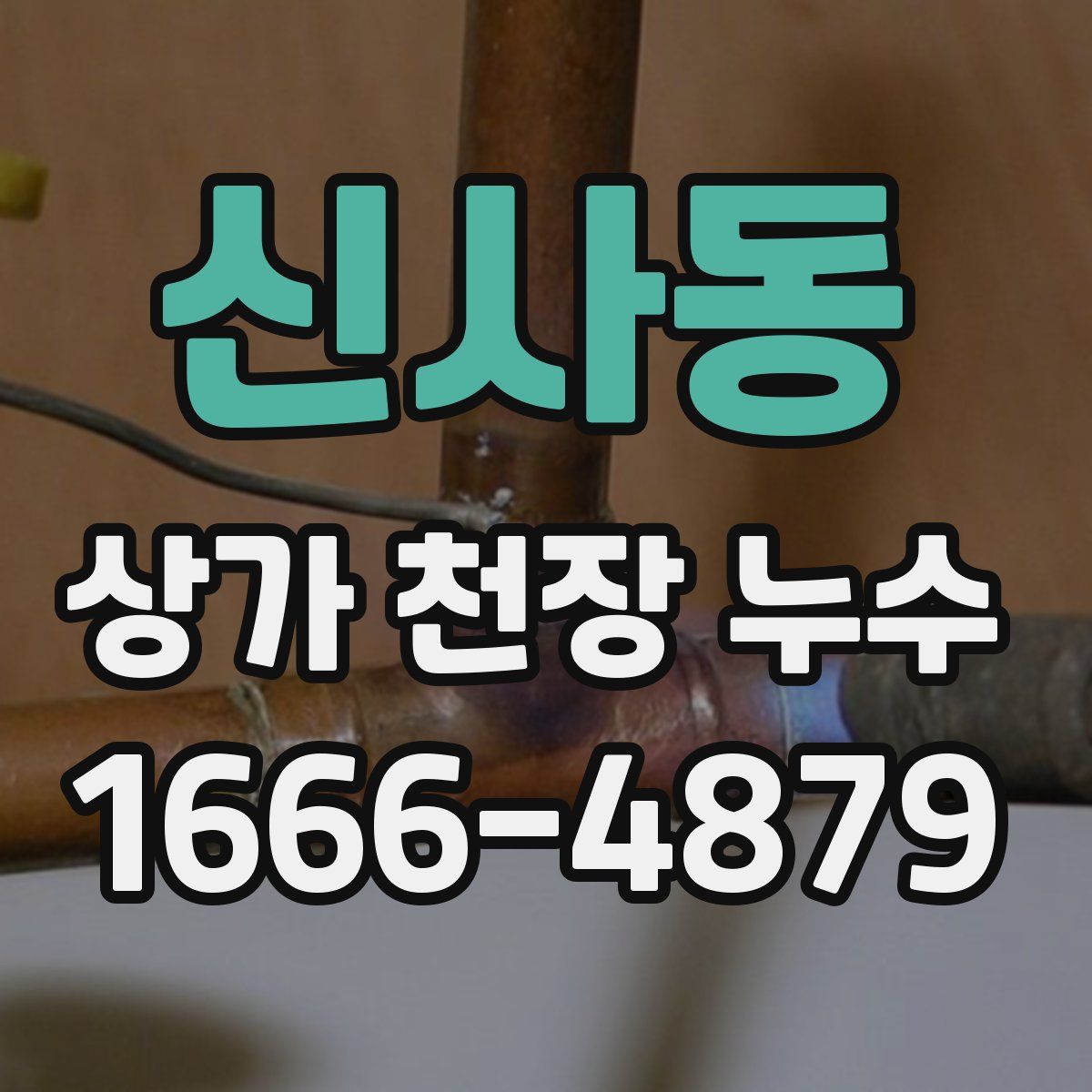 신사동 상가 천장 누수