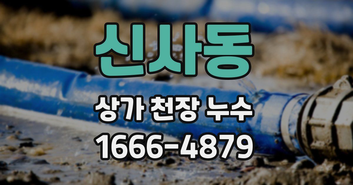 신사동 상가 천장 누수