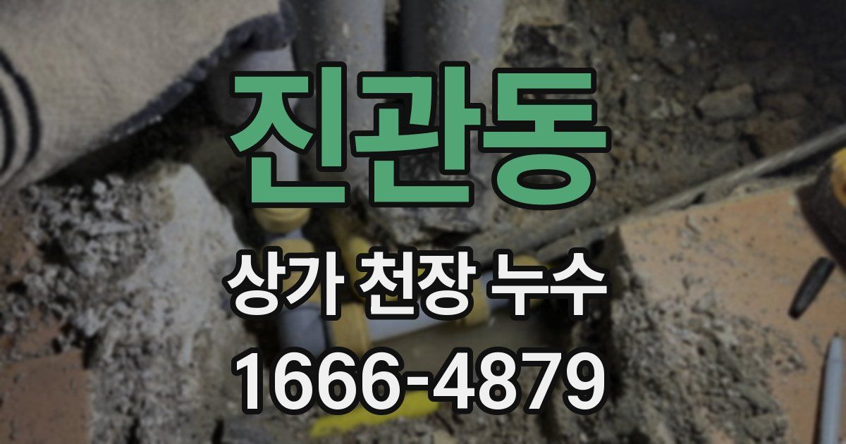 진관동 상가 천장 누수
