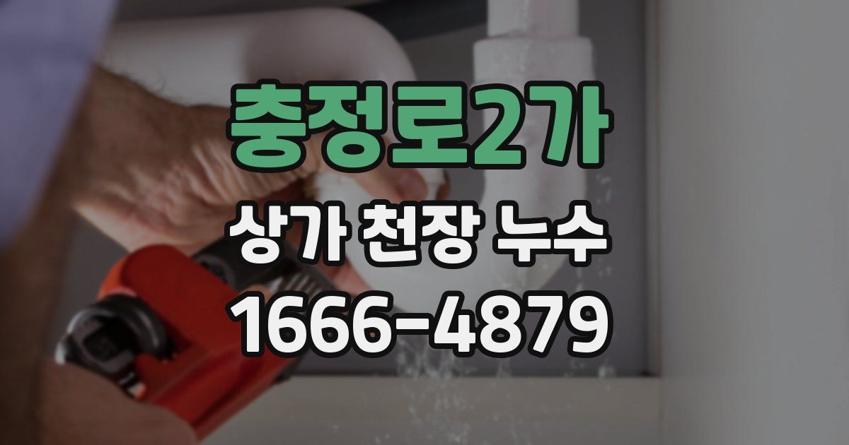 충정로2가 상가 천장 누수