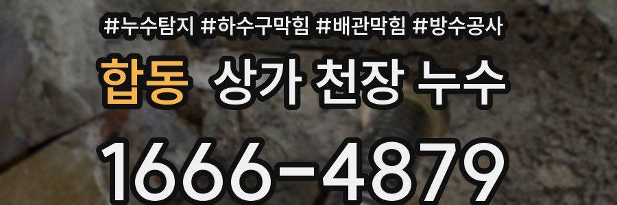 합동 상가 천장 누수