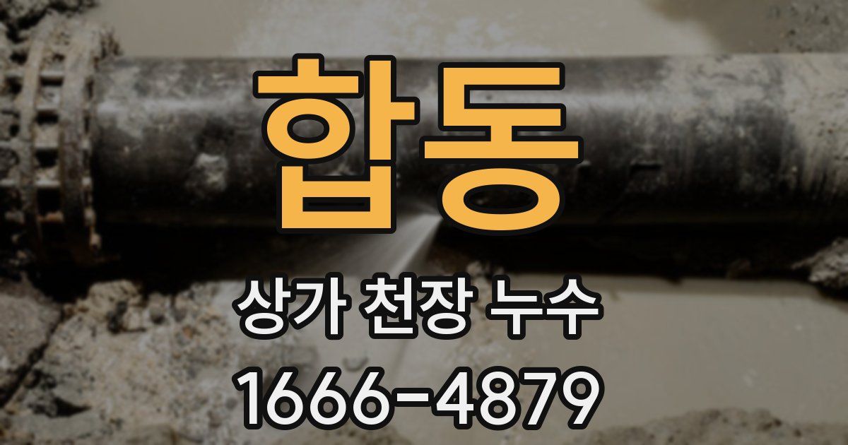 합동 상가 천장 누수