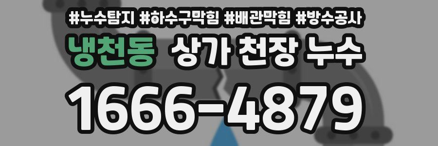 냉천동 상가 천장 누수