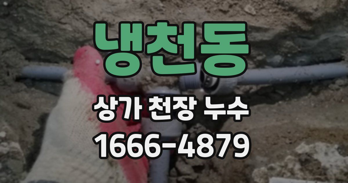 냉천동 상가 천장 누수