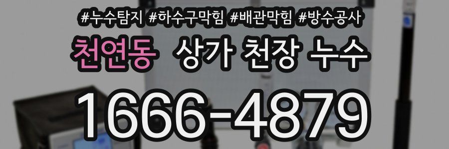 천연동 상가 천장 누수