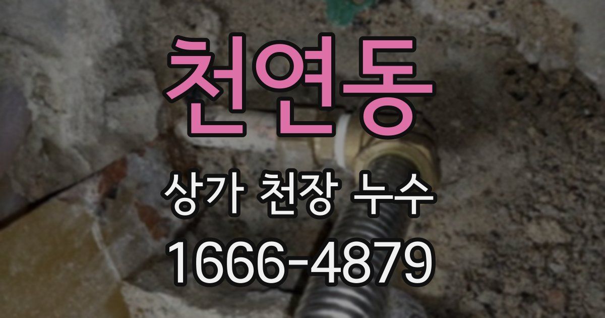 천연동 상가 천장 누수