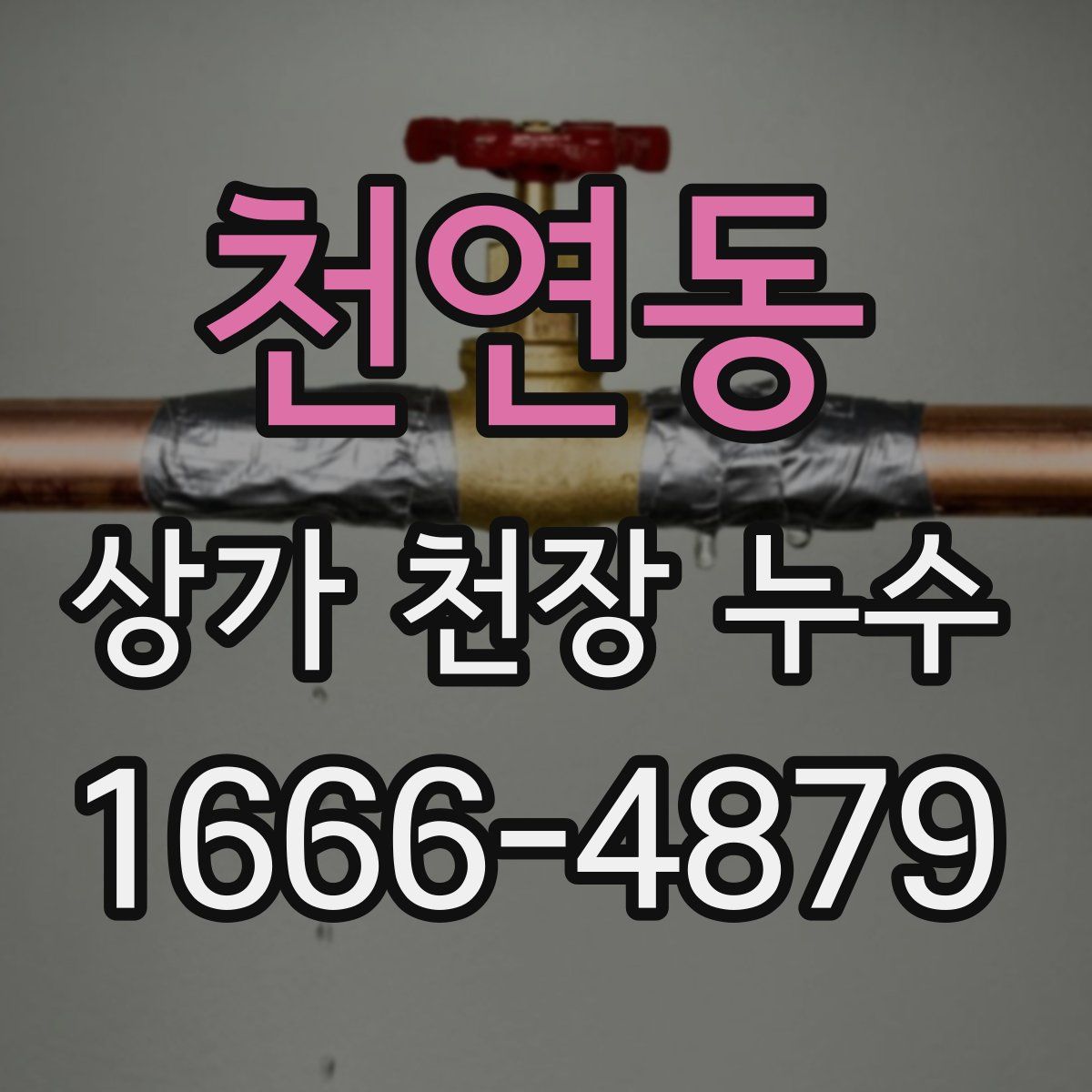 천연동 상가 천장 누수