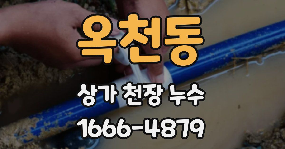 옥천동 상가 천장 누수