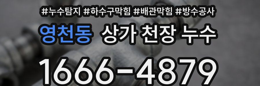 영천동 상가 천장 누수