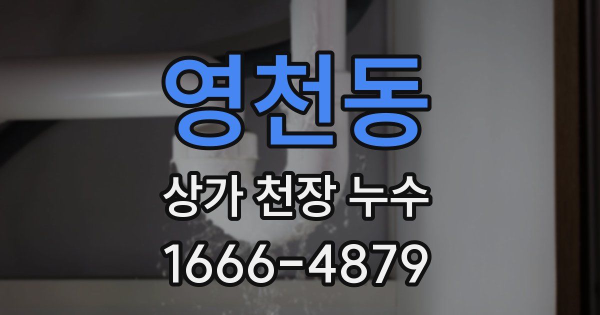 영천동 상가 천장 누수