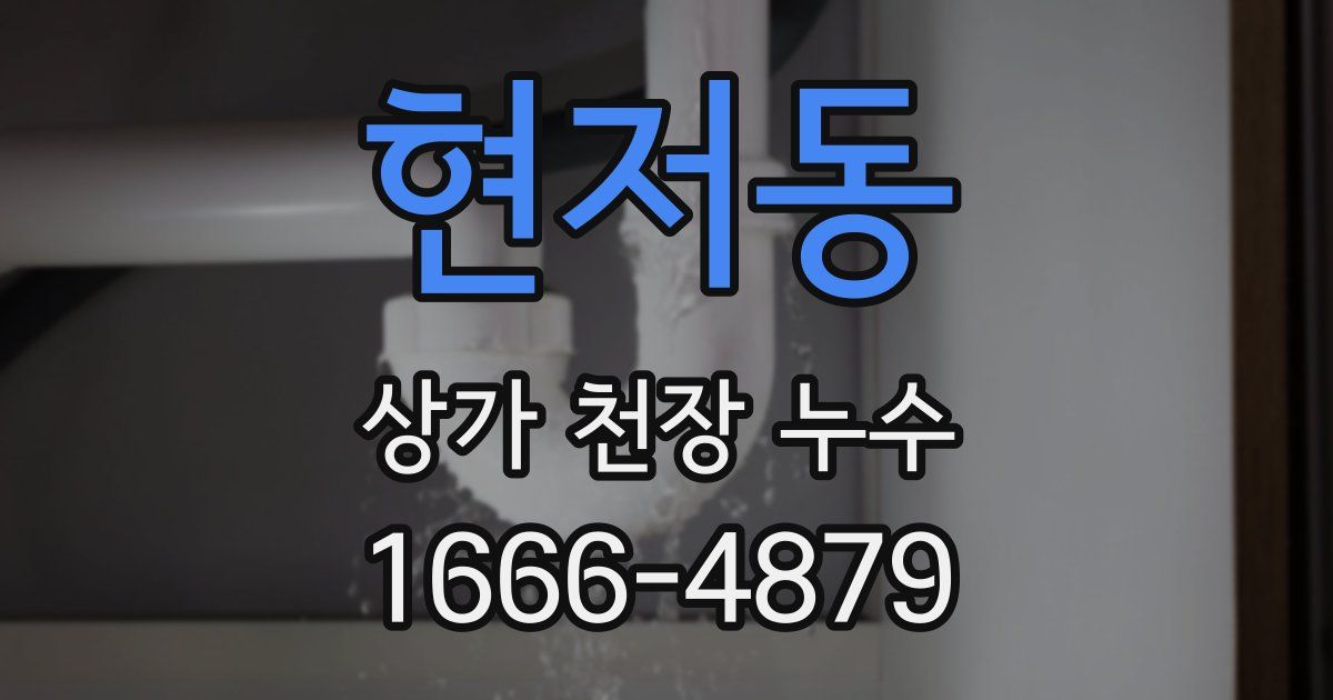 현저동 상가 천장 누수
