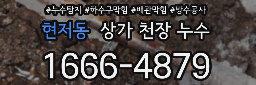 현저동 상가 천장 누수