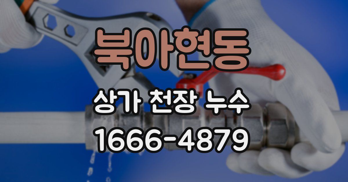 북아현동 상가 천장 누수