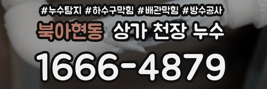 북아현동 상가 천장 누수