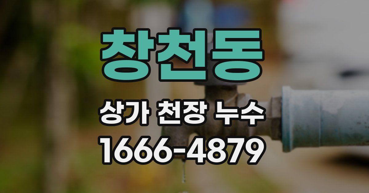 창천동 상가 천장 누수
