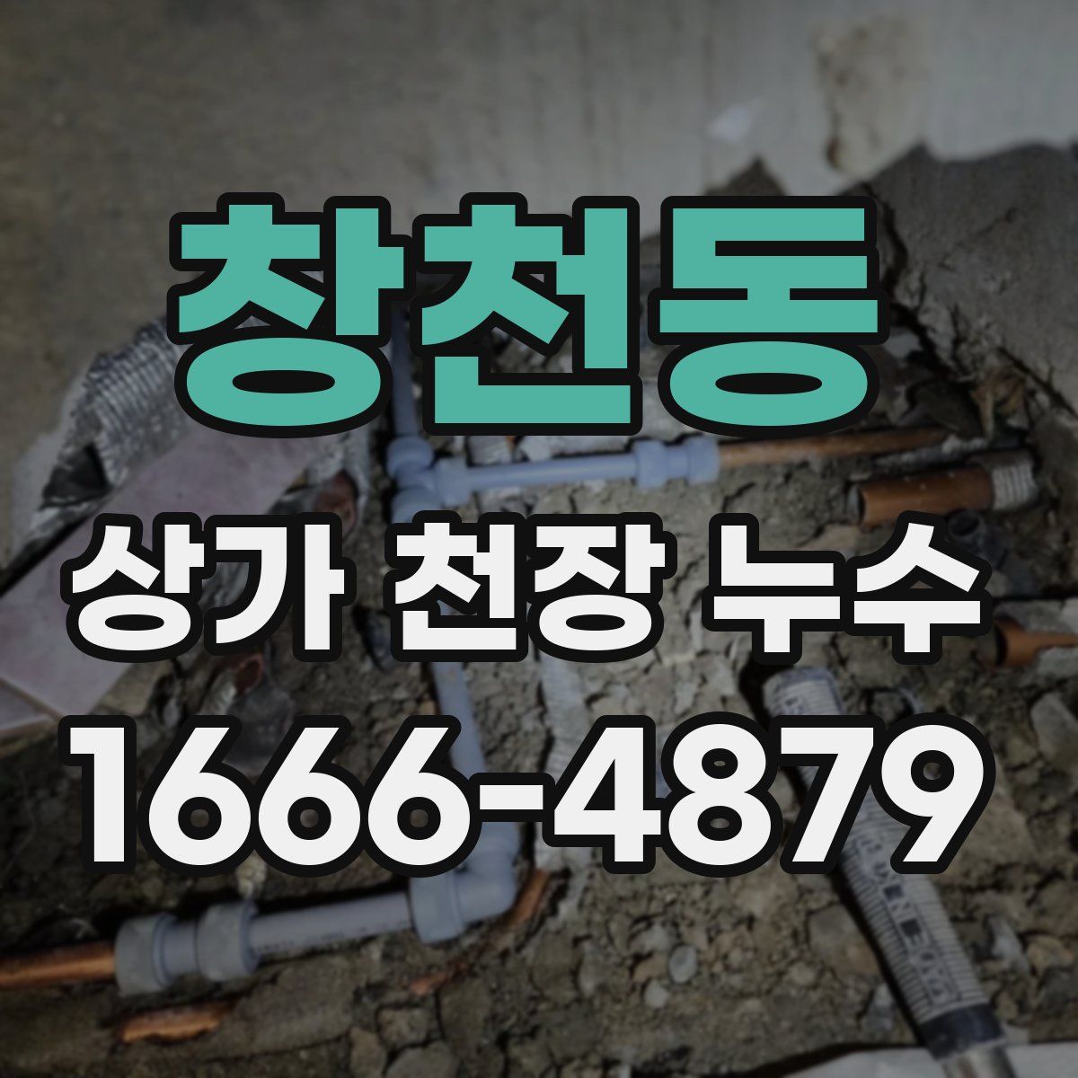 창천동 상가 천장 누수