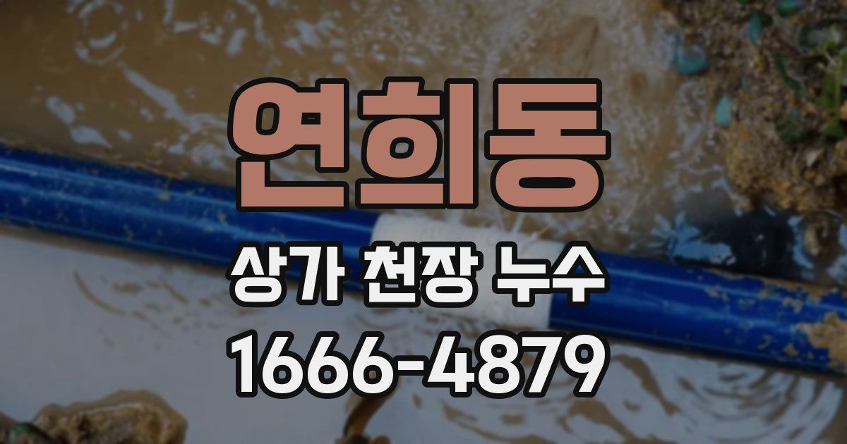 연희동 상가 천장 누수