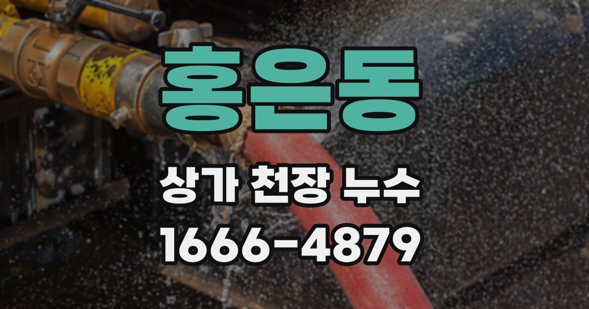 홍은동 상가 천장 누수