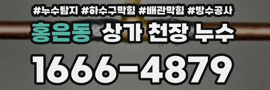 홍은동 상가 천장 누수