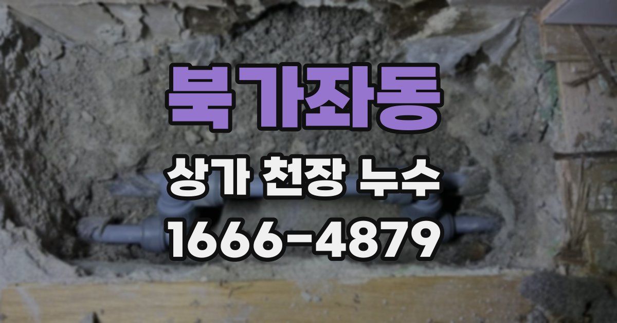 북가좌동 상가 천장 누수